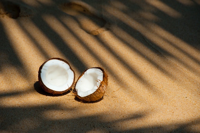 Coco, no qual é retirado o açucar de coco Coco, no qual é retirado o açucar de coco